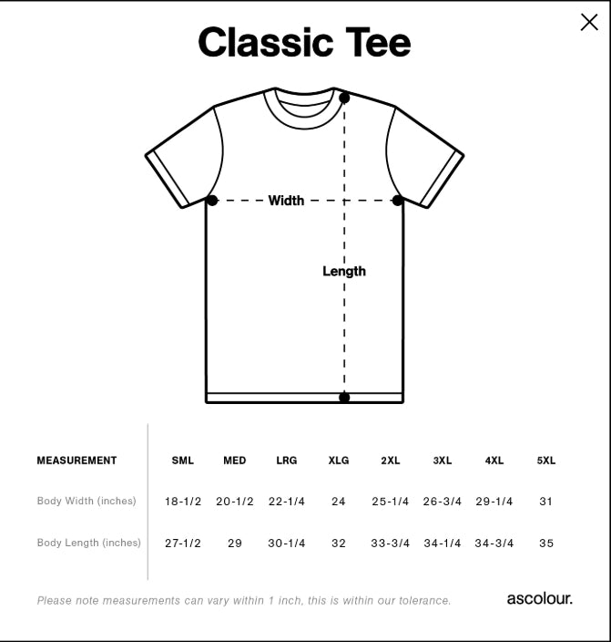 Gon & killua tee (preorder)